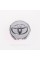 Caps plugs for alloy wheels TOYOTA Toyota, 57 mm Silver 42603-02220