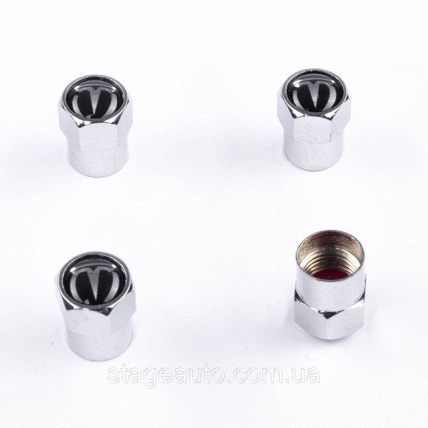 Protective caps for TESLA valve nipples Tesla 4 pcs Chrome
