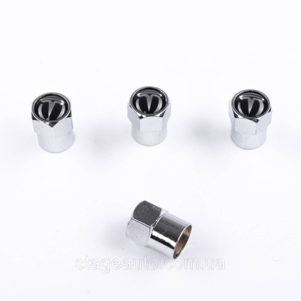 Protective caps for TESLA valve nipples Tesla 4 pcs Chrome