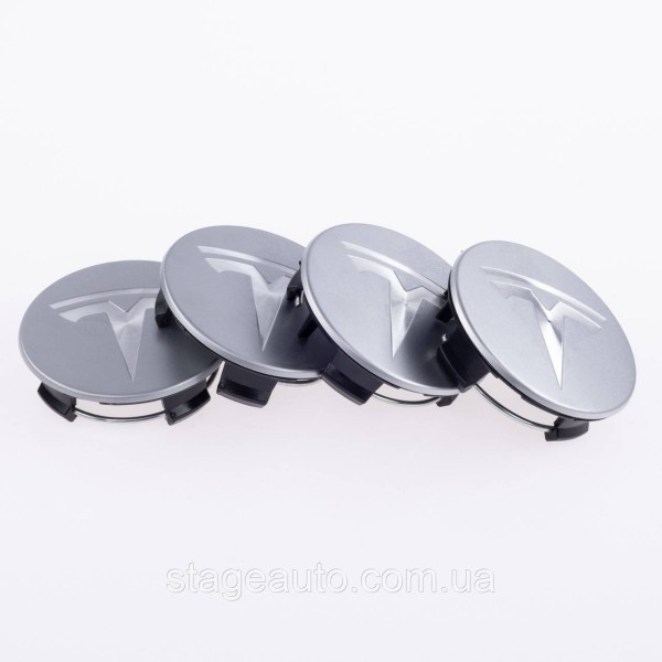 Caps plugs for alloy wheels TESLA Tesla 58 mm Silver 6005879-00-A, TLB0011 set
