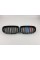 Ноздри на BMW X1 E84 2012-2015 год M-color ( Двойные M-Look )
