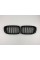 Ноздри на BMW X3 F25 2014-2017 год Черные Глянцевые ( Двойные M-Look )