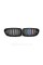 Ноздри на BMW 5 Series F10 2010-2017 год M-color ( Двойные M-Look )