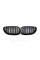 Ноздри на BMW 5 Series E60 2003-2010 год M-color ( Двойные M-Look )