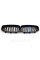 Ноздри на BMW 3 Series F34 GT 2013-2019 год M-color ( Двойные M-Look )