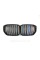 Ноздри на BMW X5 G05 2018-2020 год M-color ( Двойные M-Look )