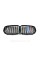 Ноздри на BMW X5 G05 2018-2020 год M-color ( Двойные M-Look )