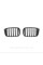 Решетка ноздри BMW БМВ X3 X4 series G01, G02 Черный Глянец 2 ребра Двойные M-Look