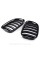 Решетка ноздри BMW БМВ 7 series F01, F02 Черный Глянец 2 ребра Двойные M-Look