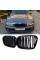 BMW kidney grille BMW 5 series E39 wagon, sedan Black Gloss 2 ribs Double M-Look