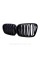 BMW kidney grille BMW 5 series E39 wagon, sedan Black Gloss 2 ribs Double M-Look