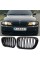 Решетка ноздри BMW БМВ 3 series E46 FL универсал,седан Черный Глянец 2 ребра Двойные M-Look