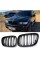 Решетка ноздри BMW БМВ X5 series E53 2003-2006 Черный Глянец 2 ребра Двойные M-Look