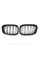 Решетка ноздри BMW БМВ X5 series E53 2003-2006 Черный Глянец 2 ребра Двойные M-Look