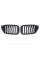 Решетка ноздри BMW БМВ X4 X3 series F26, F25 FL Черный Глянец 2 ребра Двойные M-Look