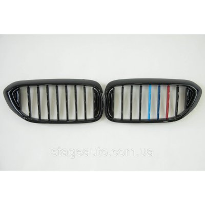 Ноздрі на BMW 5 Series G30 / G31 / F90 2017-2020 рік M-color