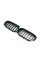 Ноздри на BMW 1 Series F20 / F21 2015-2019 год Черные Глянцевые ( Двойные M-Look )