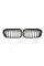 Ноздри на BMW 1 Series F20 / F21 2015-2019 год Черные Матовые ( Двойные M-Look )