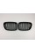 Ноздри на BMW X1 E84 2012-2015 год Черные Глянцевые ( Двойные M-Look )