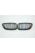 Ноздри на BMW 3 Series E92 / E93 2006-2010 год M-color ( Двойные M-Look )