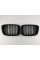 Ноздри на BMW X3 G01 2017-2021 год Черные Глянцевые ( Двойные M-Look )