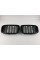 Ноздри на BMW X3 G01 2017-2021 год Черные Глянцевые ( Двойные M-Look )