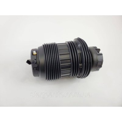 Пневмобалон задній на Porsche Panamera 2009-2016 рік