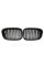 Ноздри на BMW 5 Series E39 2000-2003 год Черные Глянцевые ( Двойные M-Look )