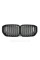 Nostrils for BMW X5 G05 2018-2020 Black Matte ( Double M-Look)