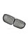 Nostrils for BMW X5 G05 2018-2020 Black Glossy ( Double M-Look)