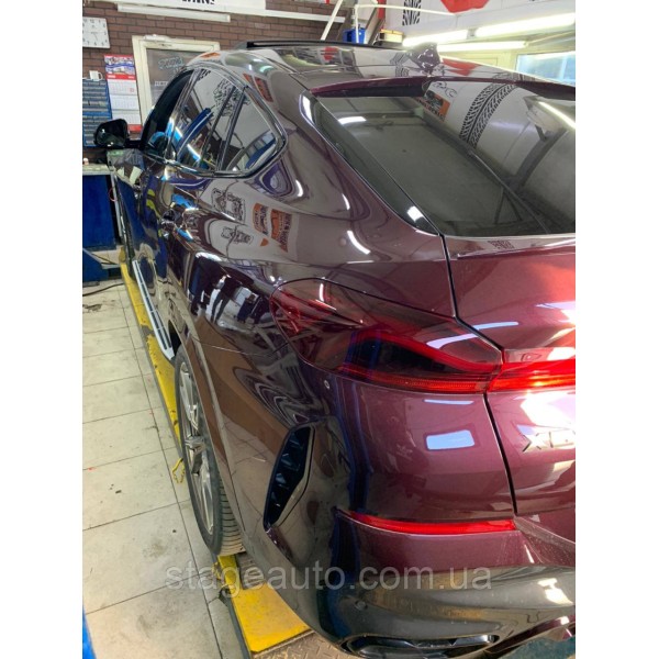 Боковые подножки ( пороги ) на BMW X6 G06 2019-2020 год
