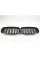 Ноздри на BMW X6 E71 2008-2014 год Черные Глянцевые ( Двойные M-Look )