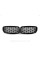 Ноздри на BMW 3 Series F30 / F31 / F35 2012-2018 год Diamond All Black