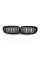 Nostrils for BMW 5 Series F10 2010-2017 Black Matte ( Double M-Look)
