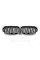 Ноздри на BMW X1 E84 2012-2015 год Черные Глянцевые Хром Рамка ( Двойные M-Look )