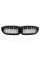 Ноздри на BMW 3 Series G20 / G21 2018-2020 год Diamond Silver