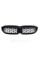 Ноздри на BMW 3 Series G20 / G21 2018-2020 год Diamond All Black