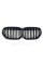 Ноздри на BMW X1 F48 2019-2021 год Черные Матовые ( Двойные M-Look )