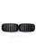 Ноздри на BMW X5 F15 2013-2018 год Черные Глянцевые ( Двойные M-Look ) + Night Vision