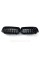 Ноздри на BMW X5 F15 2013-2018 год Черные Глянцевые ( Двойные M-Look ) + Night Vision