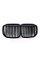 Ноздри на BMW X7 G07 2018-2022 год Черные Глянцевые ( Двойные M-Look )