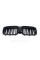 Ноздри на BMW iX3 G08 2022-2023 года Черный Глянец ( M-Look )