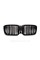 Ноздри на BMW X4 G02 2022-2023 года Черный Глянец ( M-Look )