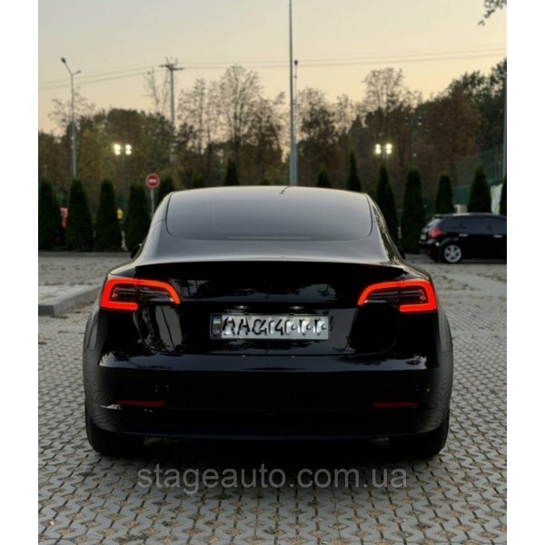 Спойлер багажника TESLA MODEL 3 2016-2023 (ABS пластик) Тесла модел 3 черный глянец